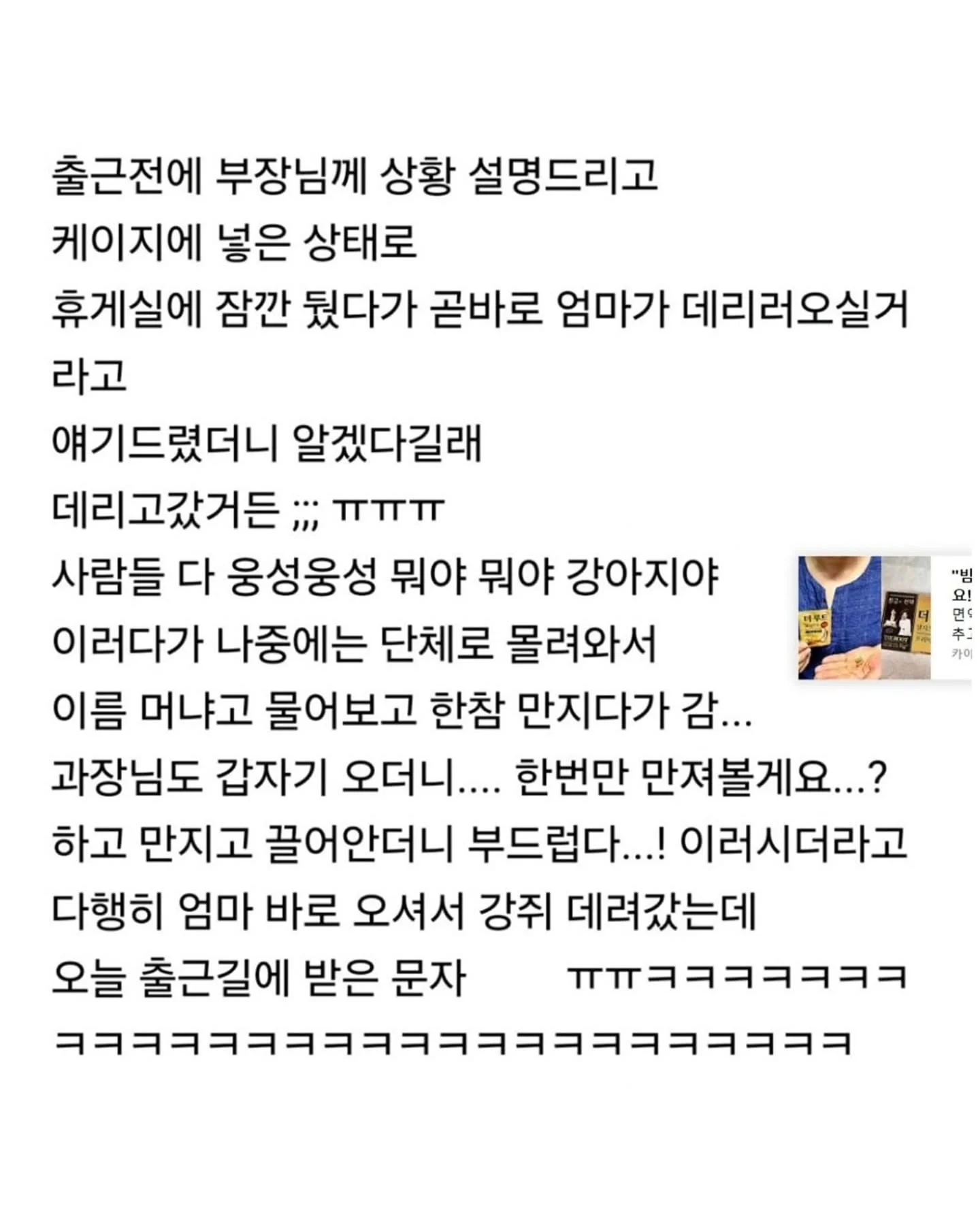 사정이 있어서 강아지 데리고 출근했는데 (2)