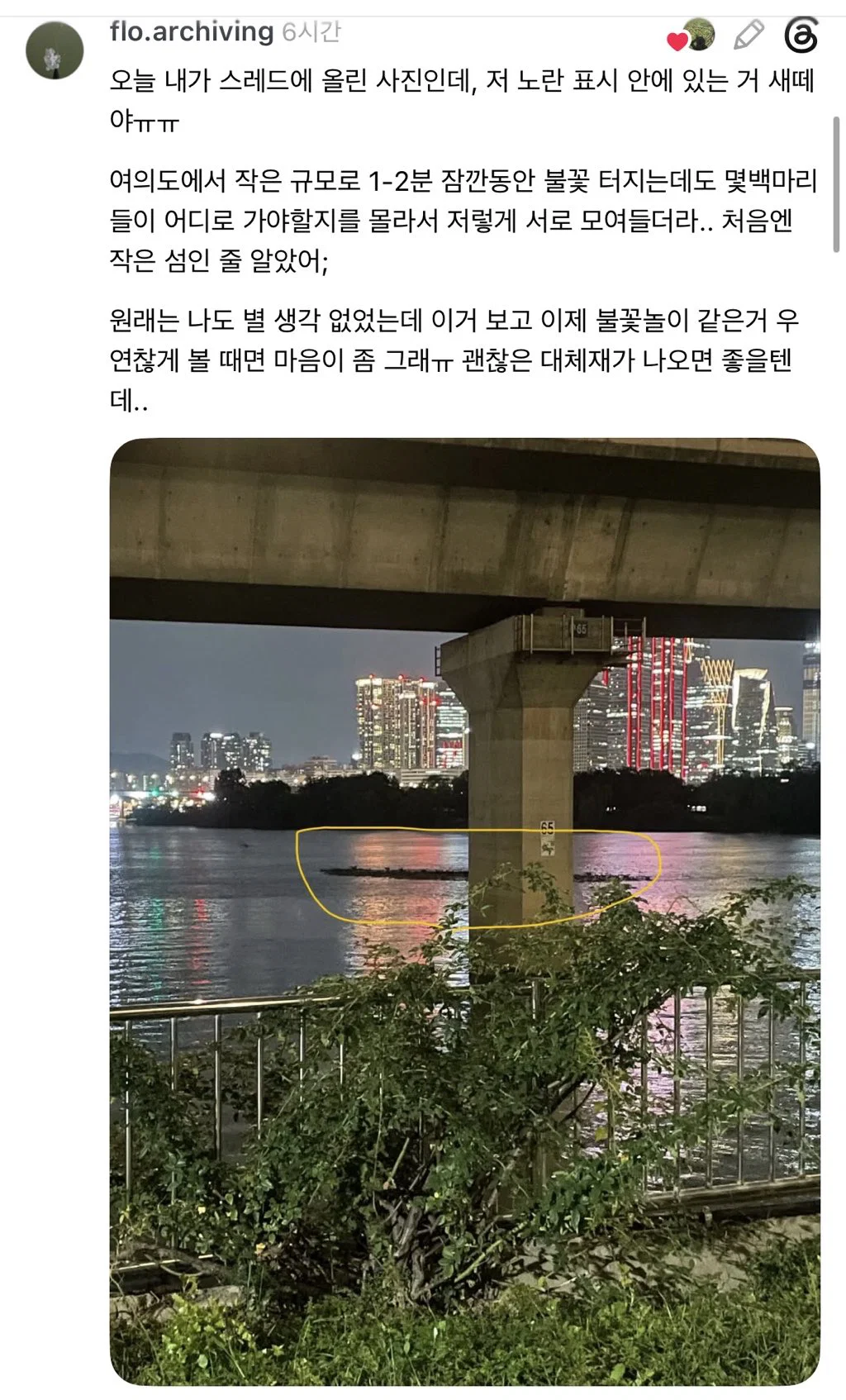 개큰트라우마 생겨서 이뒤로는 불꽃축제 안가...