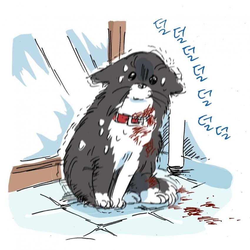 싱글벙글 개물림 사고 겪은 썰.manhwa (19)
