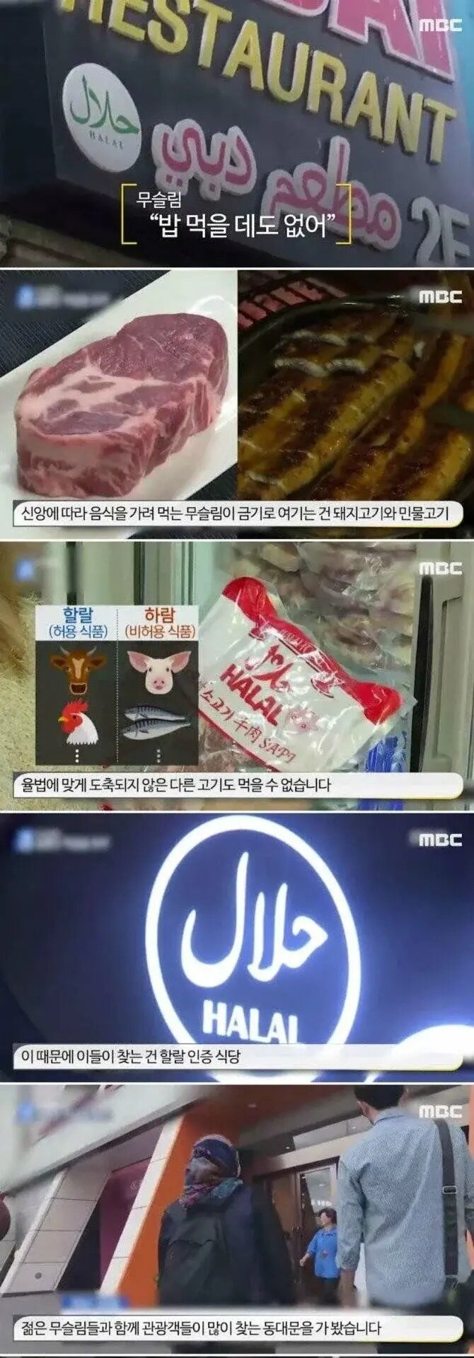 개독 알바계정이 며칠간 온종일 이슬람까는글만 쳐올리고있네