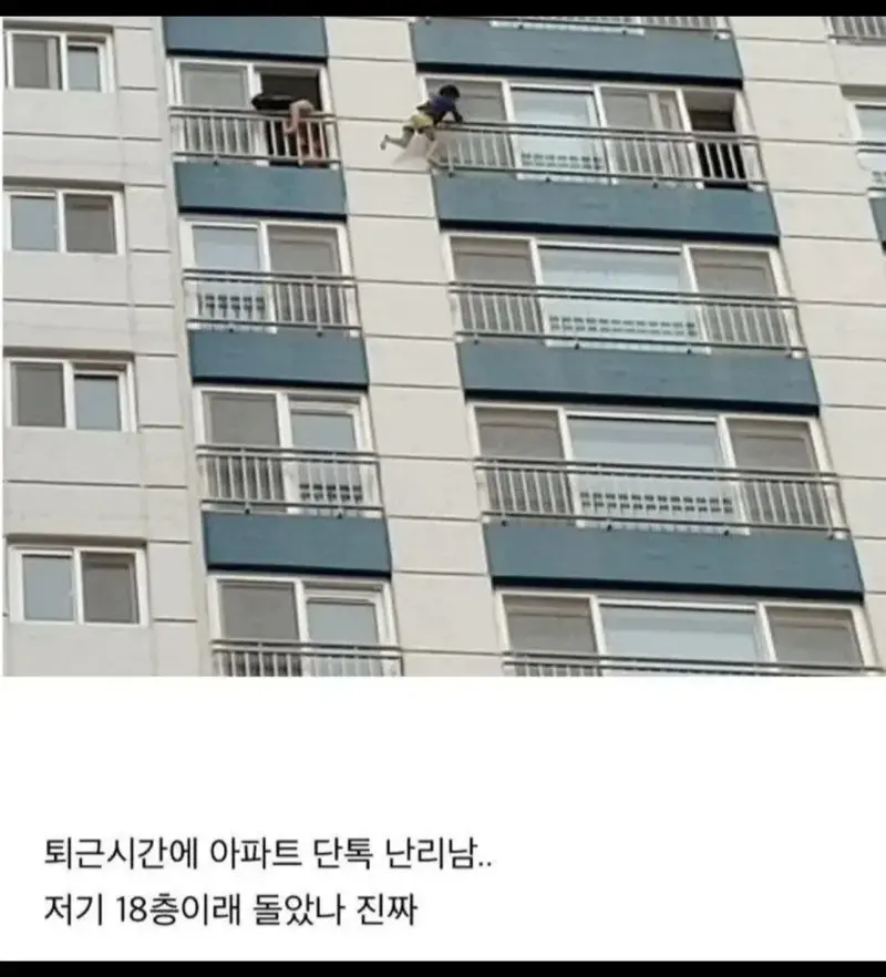 아파트 단톡방 999+ 뜨고 난리난 이유
