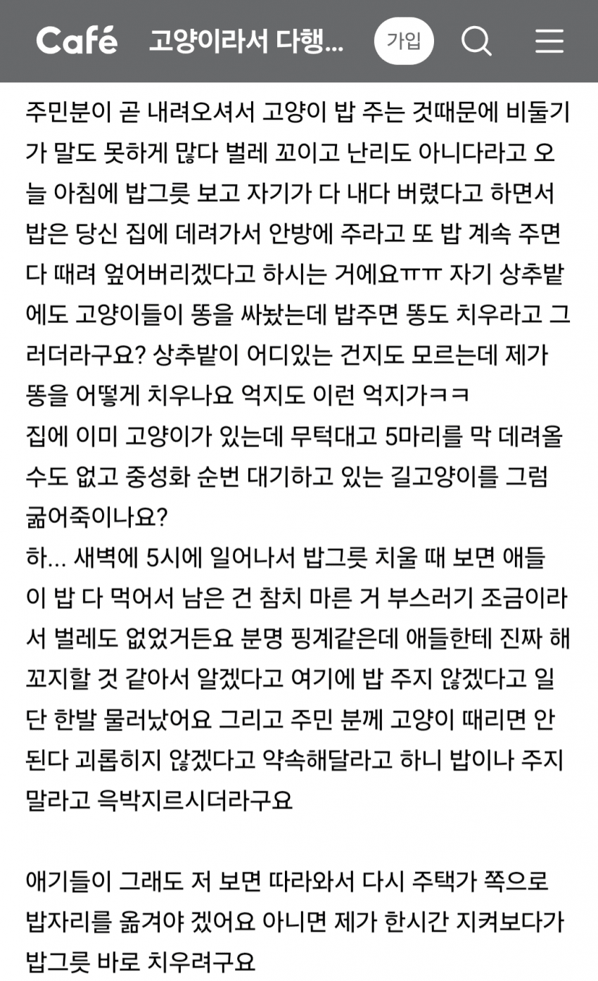 아파트에서 싸운 캣맘 (3)