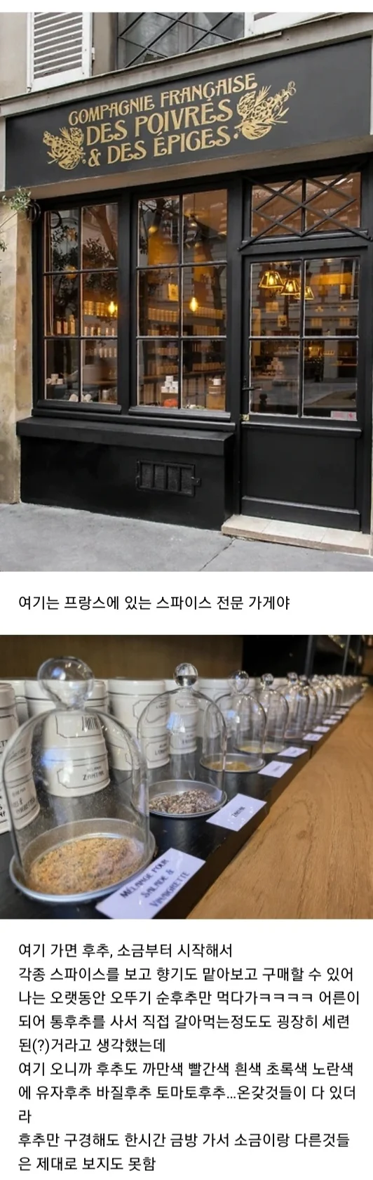 해외여행이 큰 경험이라고 생각하는 이유 (2)