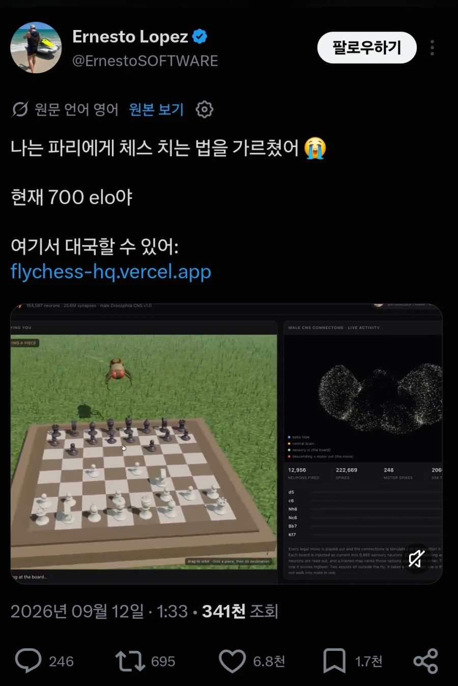 초파리 근황 (4)