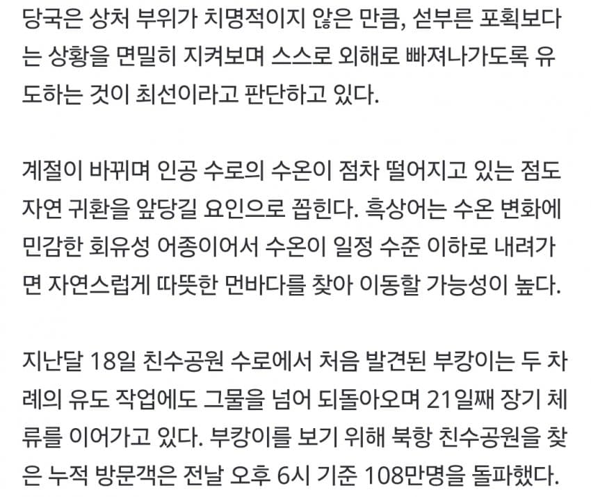 국민 상어 부캉이, 새끼 낳았나 (29)