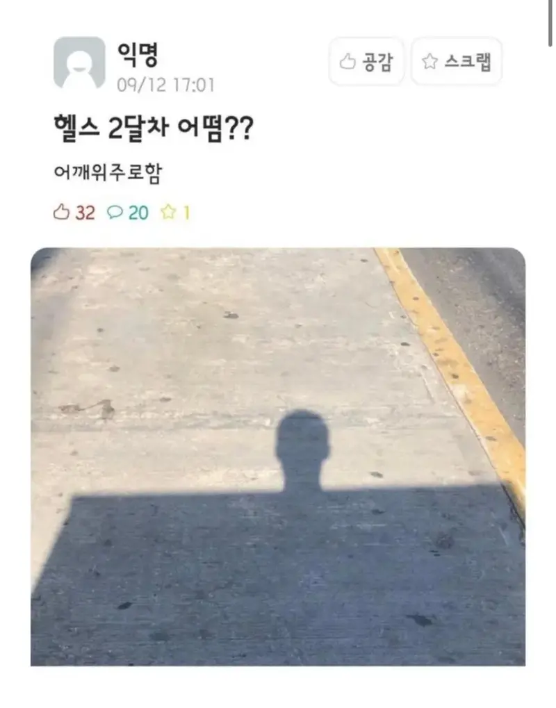 로이더 의심되는 헬스 2개월차 어깨