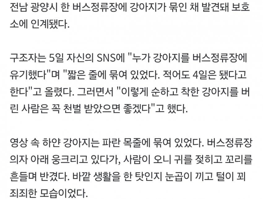버스정류장에 묶여 버려진 개…"4일 넘었다" 목격담 (3)