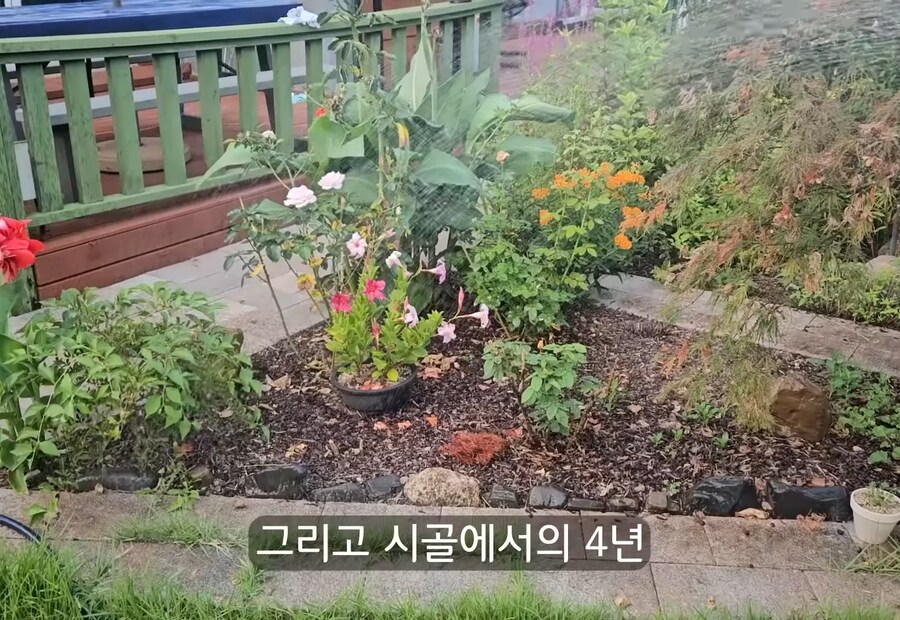 휴식을 위해 '귀촌'을 한 사람들이 깨닫게 되는 현실 (14)