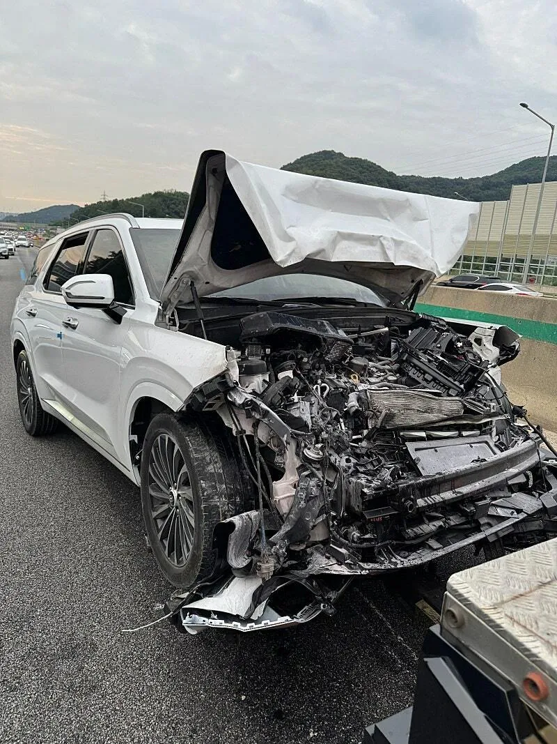 BYD 씨라이언 vs 현대 펠리세이드 크루즈 주행 추돌 사고 ㄷㄷㄷ (2)