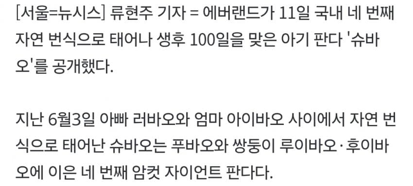 속보) 에버랜드 '바오패밀리' 막내 판다 이름은 '슈바오' (4)
