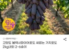고당도 블랙사파이어포도 2kg