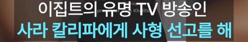 "팔로워 250만 유명 여성 방송인"에 사형 선고한 이집트 (2)