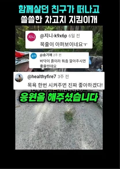평생 목욕 한번 안 해본 차고지 지킴이 2살 한성이의 생애 첫 목욕대작전 (5)