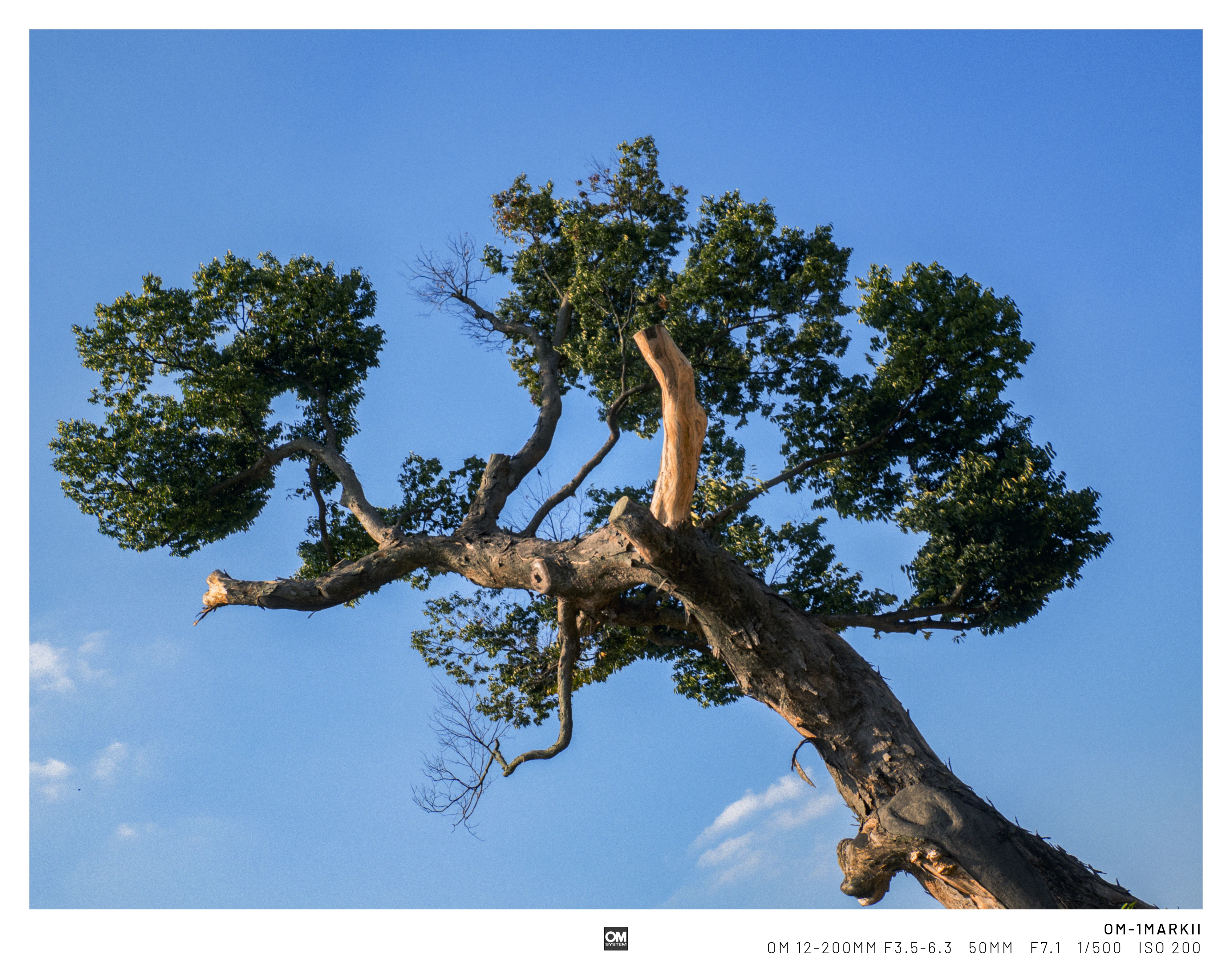 3분기 사진 정산 . webp (50)