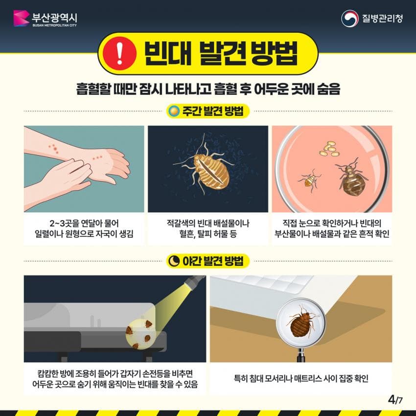 오싹오싹 부산 찜질방에 출몰해서 난리난 빈대(베드버그)상황 (48)
