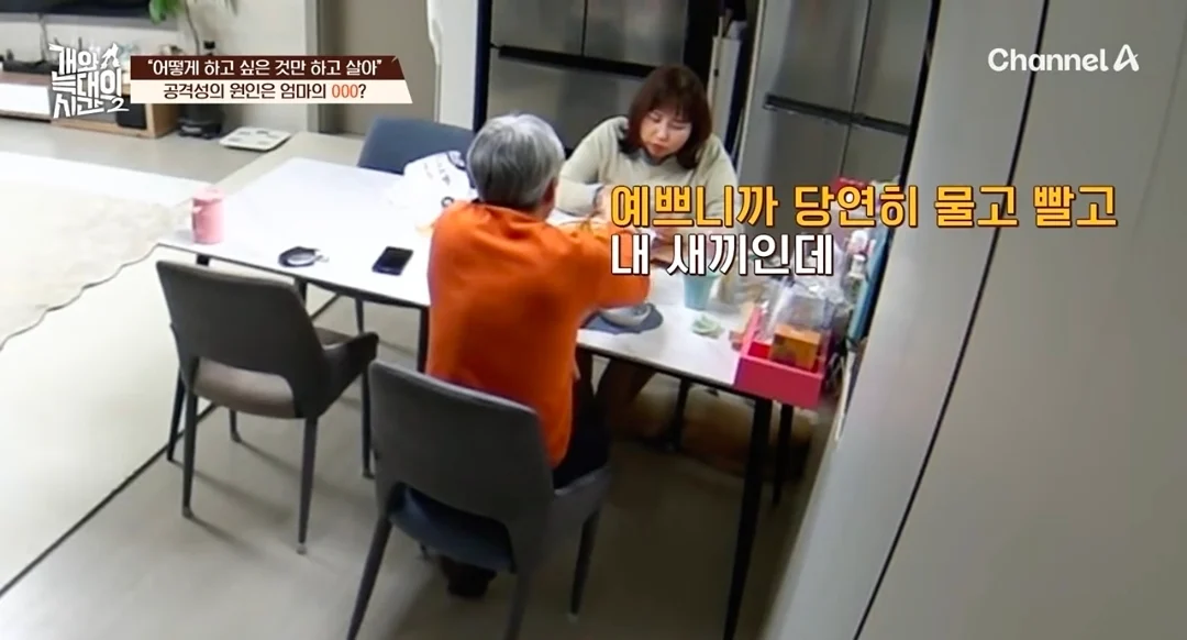 개늑시에 나오는 문제견 견주 특징 (17)