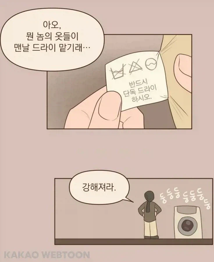 세탁 라벨을 무시했던 자의 최후
