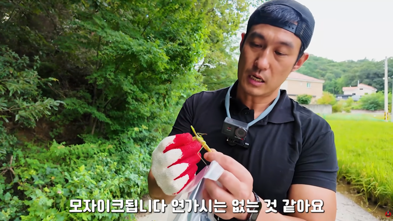 사마귀 먹는 방법 알려주는 유튜버 (8)
