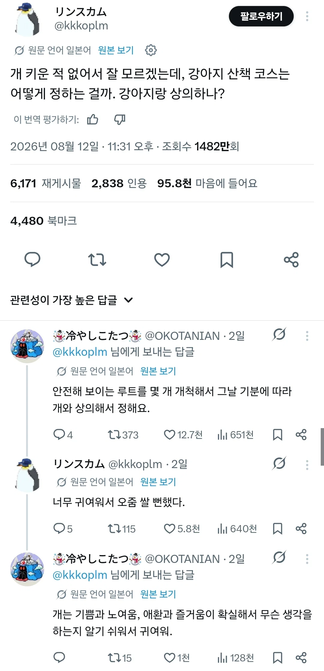 강아지 산책 코스는 어떻게 정하나요? 강아지랑 상의하나?