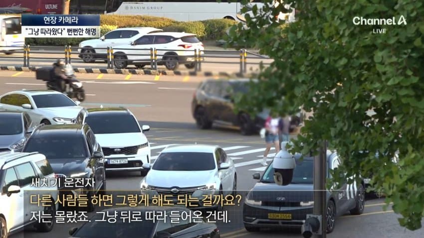 채널a) 차 머리부터 '쑥'..야구장 앞 얌체들 (36)