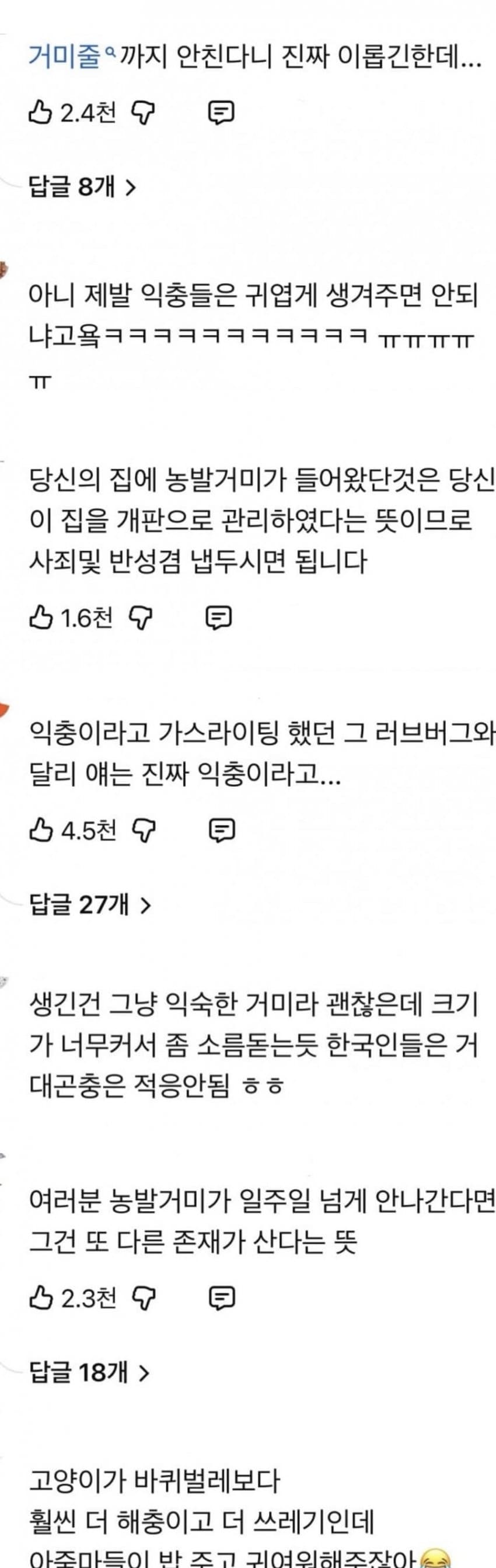 거미거미 징그럽고 큰데 이로운 거미 (7)