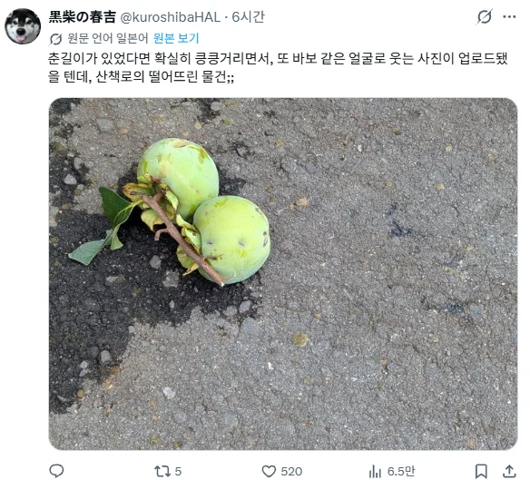 웃긴 일본 아저씨인줄 알고 계정 구경했다가 눈물 쏟은 한국인 (4)