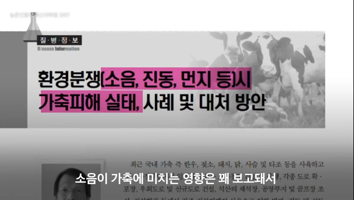 새들에겐 거의 전쟁난 수준이라는 불꽃축제 (40)