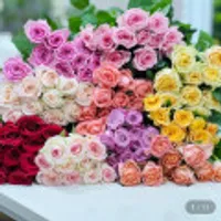 장미10송이 생화