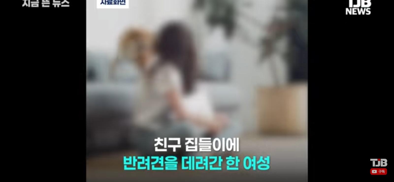 친구 집들이에 개를 데리고 갔더니 벌어진 일