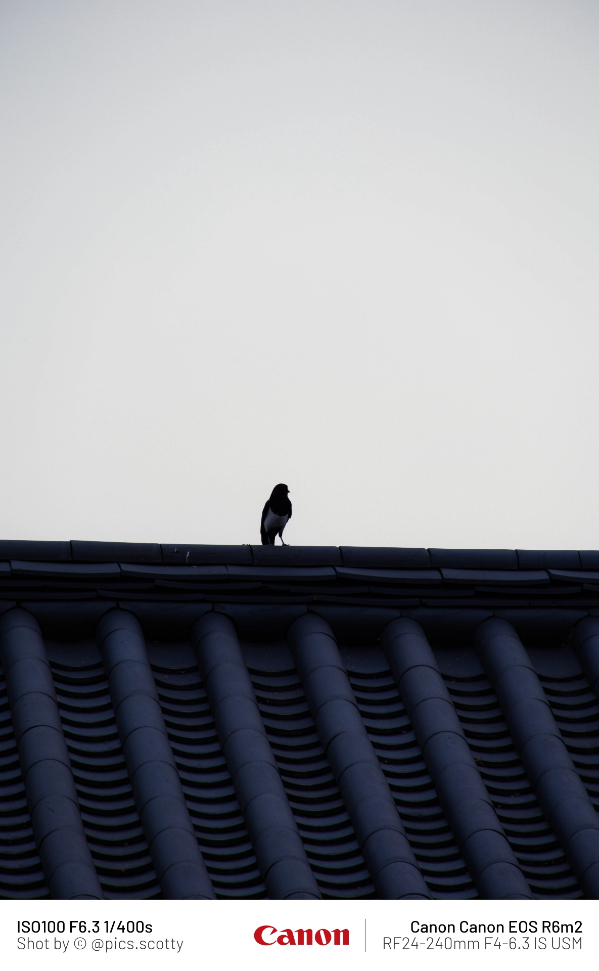 [슈퍼줌] 슈퍼줌은 사랑입니다 (.webp 26장) (22)