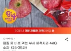 껍질 채 바로 먹는 부사 세척사과 4KG 소과