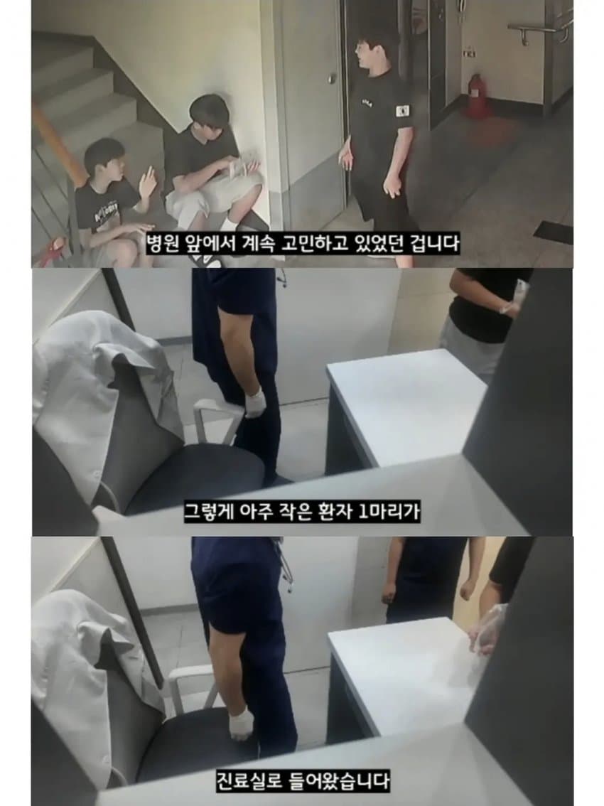 싱글벙글 2만원을 모아 동물병원 방문한 초등학생들 (8)