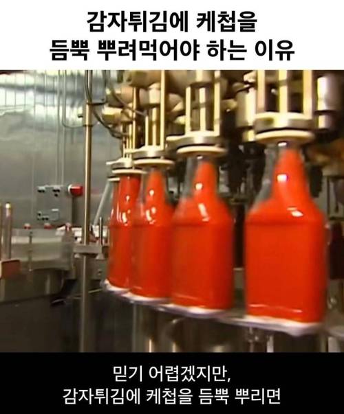 감자튀김에 케첩을 듬뿍 뿌려먹어야 하는 이유
