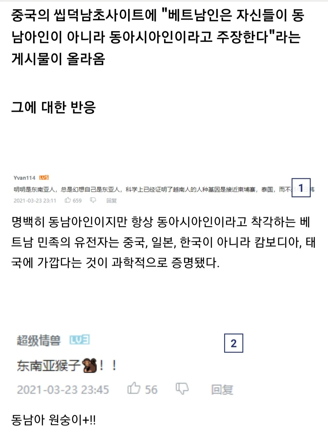 ㅅㄱㅂㄱ 동아시아vs동남아시아 (12)