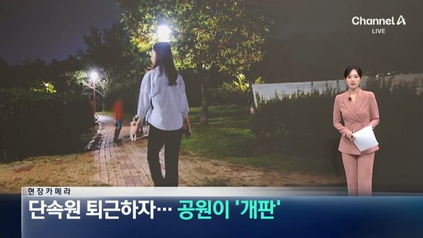 채널a) 단속원 퇴근하자...공원이 '개판'