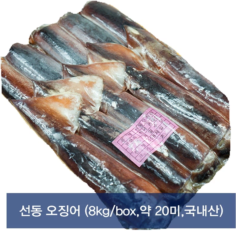 선동된 유게이들