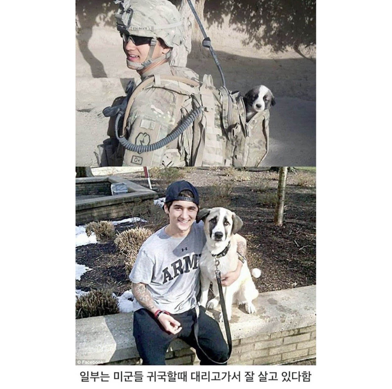미군이 허리에 탄창주머니를 다는 이유 (4)