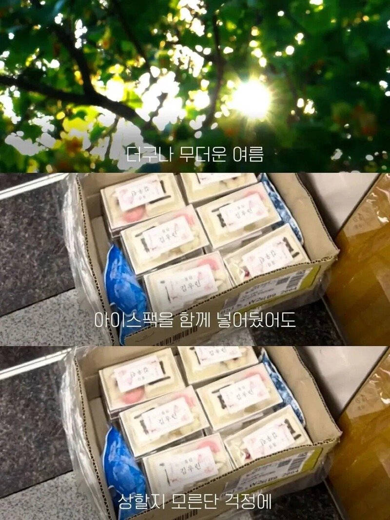 05.jpg