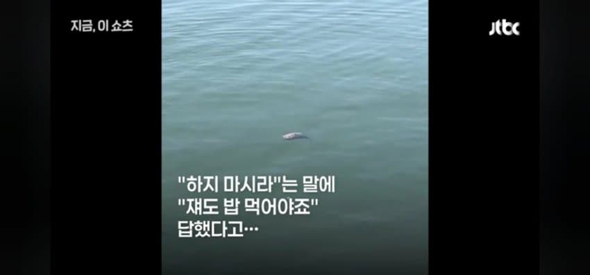 "우럭 먹자~" 부캉이에 생선 투척한 부산 시민 (11)