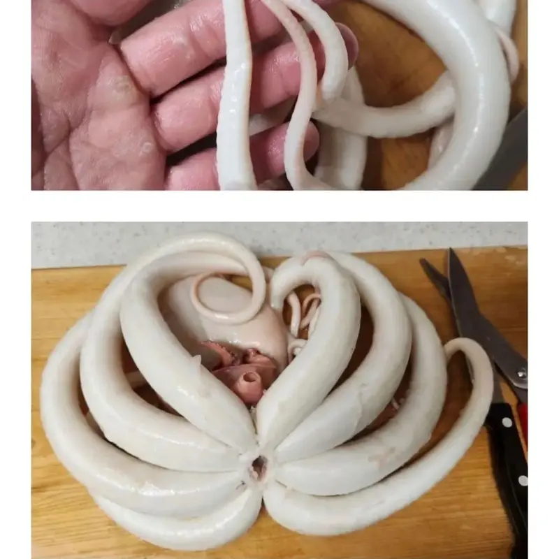 의도치 않은 해산물 손질의 달인 (7)
