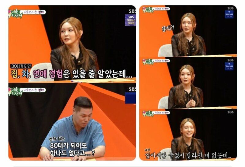 집도 차도 없다는 가수 청하 (2)