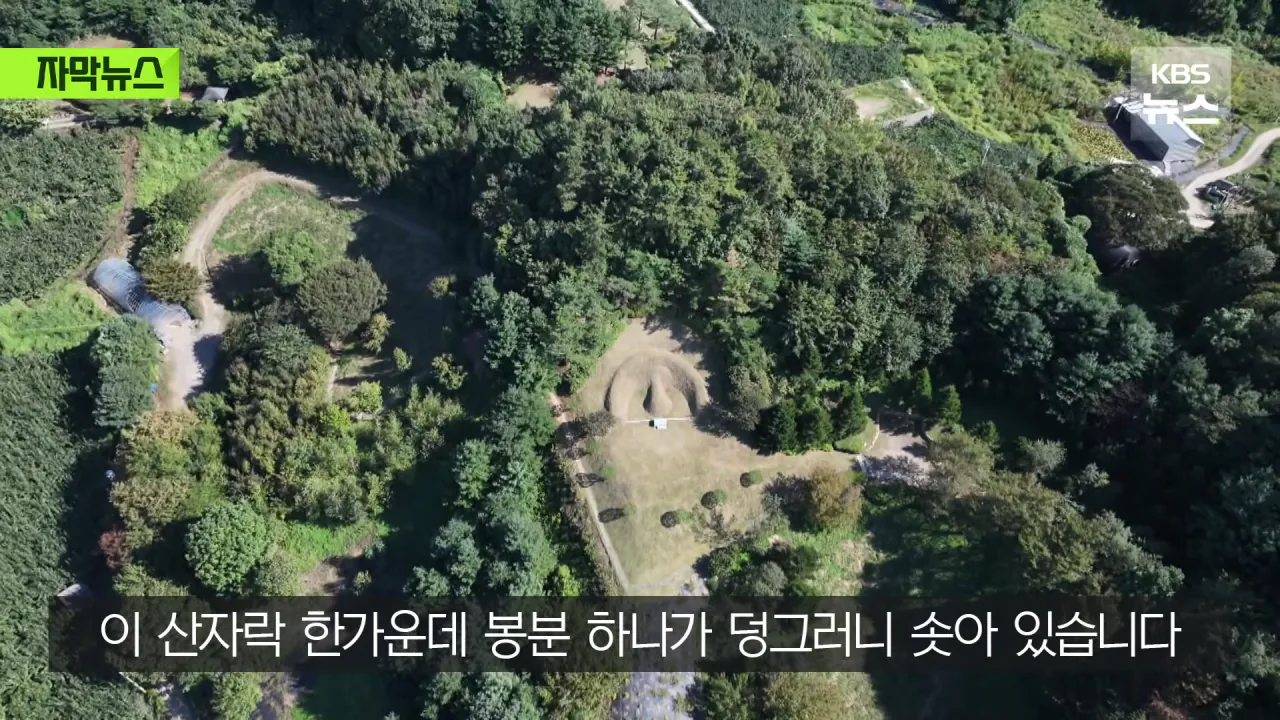 명당 차지한 범현대가 2세들…취재가 시작되자 "시정하겠다" (5)