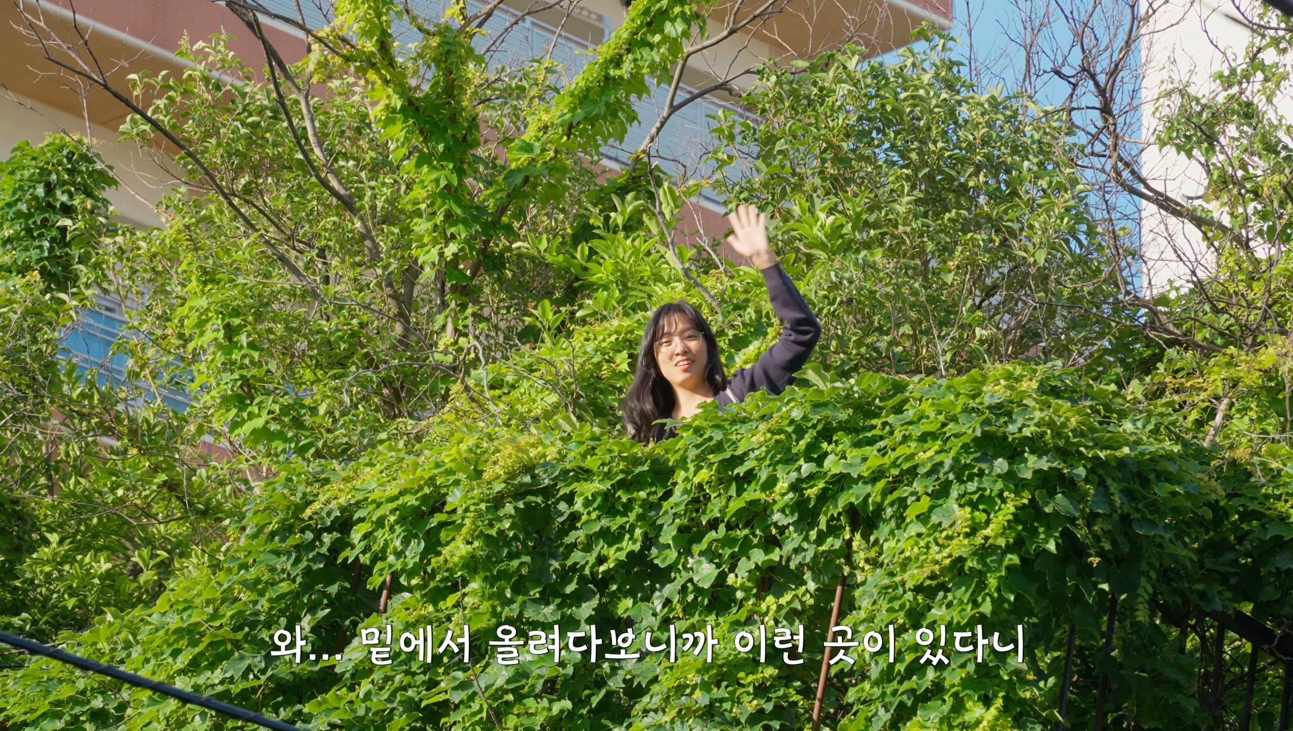 한국인에게 미안하다는 일본 할아버지 (7)