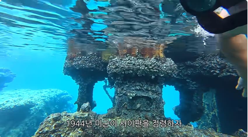 일본 부캉이 등장? 한국인이 좋아서 바다에 다이빙하면서 안부인사해주는일본 (18)