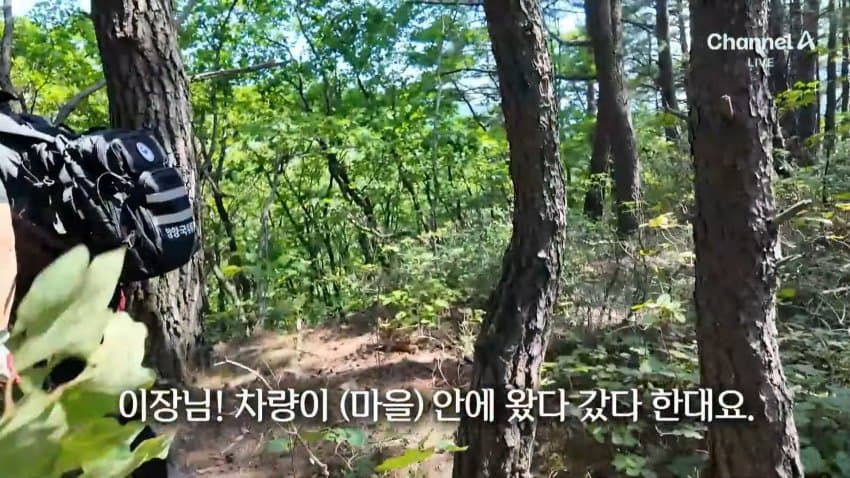 채널a) 송이버섯 1kg에 160만원...밤낮 추격전 (37)