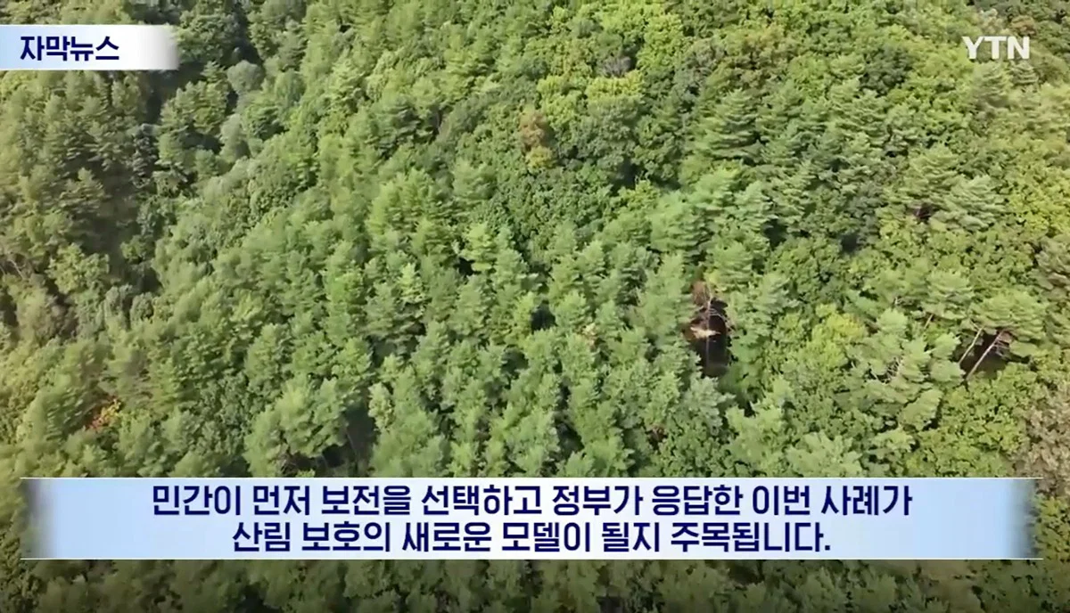 수십억 들여 숲 사놓고 아무것도 안한 이유 (18)