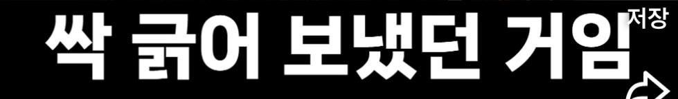 일본 (23)