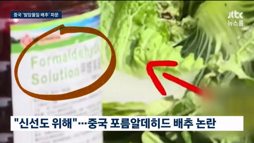 중국 배추 시신 보존제 발암물질 범벅…한국'중국산 김치'수입량 역대 최대 (8)