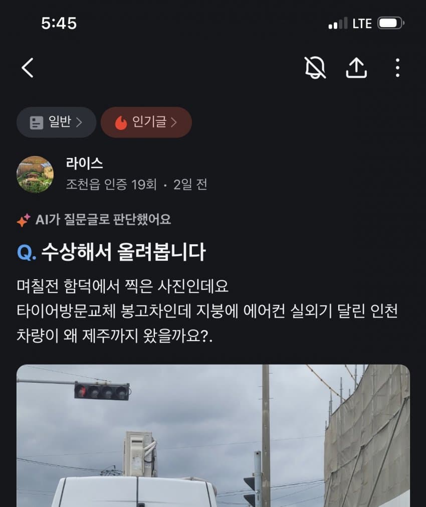 제주도 근황. 수상한 육지 봉고차가 다녀서 무서워요.