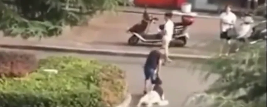 혐)중국의 무관심한 문화 (2)